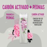 Shampoo-SEDAL-Carbon-Activado-y-Peonias-340-Ml-_5