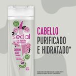 Shampoo-SEDAL-Carbon-Activado-y-Peonias-340-Ml-_7