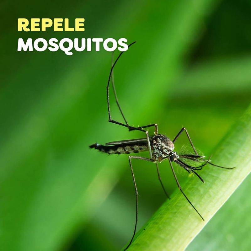 Repelente-para-Mosquitos-OFF--Family-Aerosol-165-cc_4