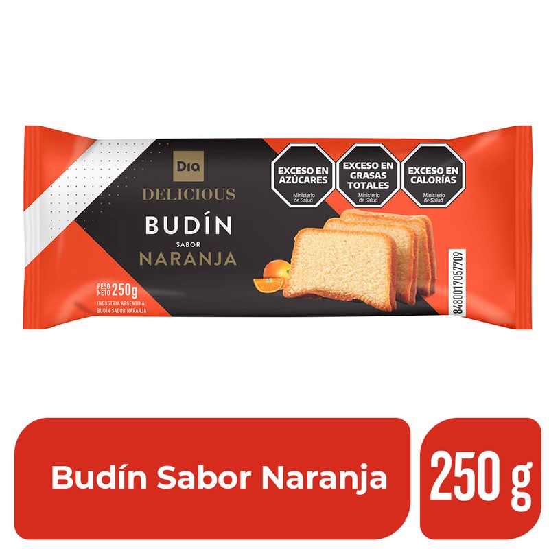 Budin-Naranja-Delicius-250-Gr-_1