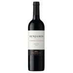 Vino-Cabernet-Sauvignon-Benjamin-Nieto-Senetiner-750-Ml_1