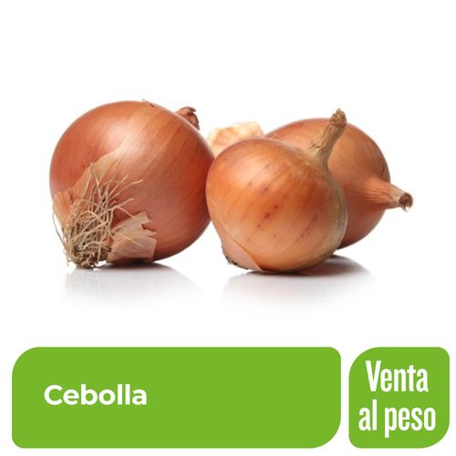 Cebolla Comercial en bolsa malla x 1 Kg.