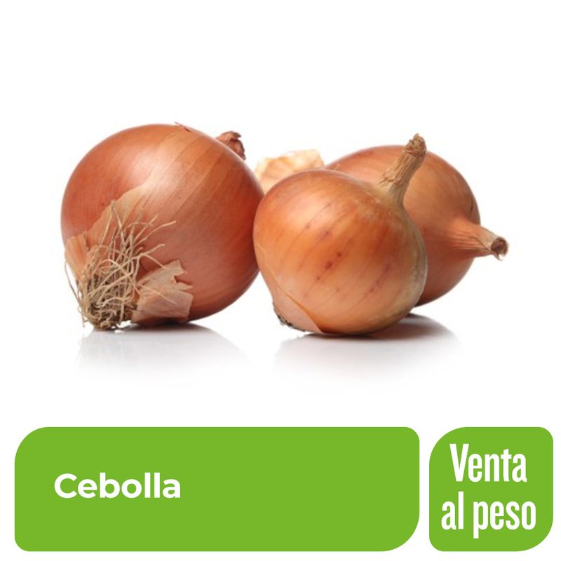 Cebolla-Comercial-en-bolsa-malla-x-1-Kg-_1