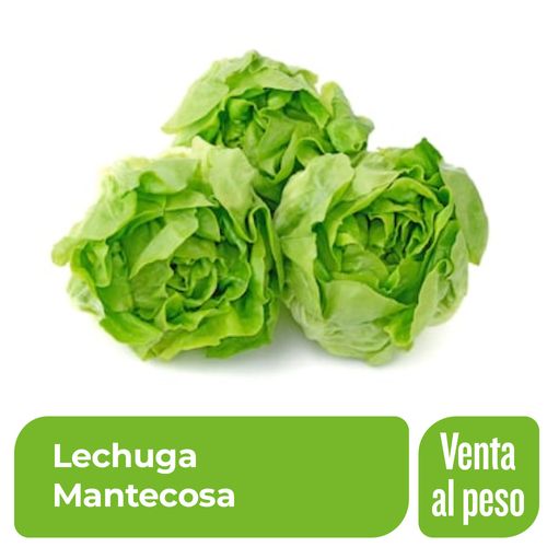 Lechuga Mantecosa x 1 Kg.