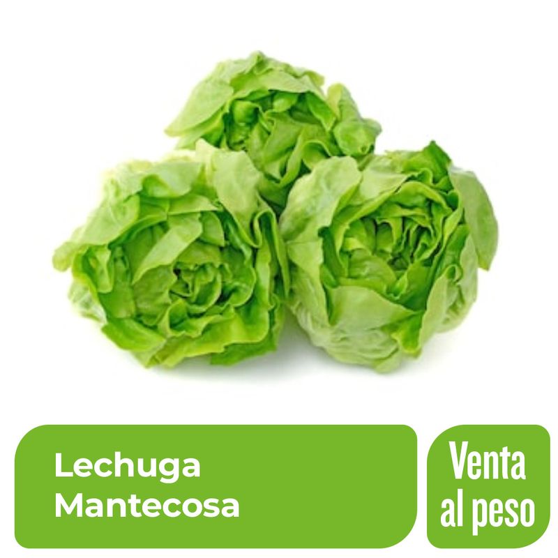 Lechuga-Mantecosa-x-1-Kg-_1