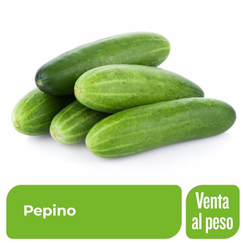 Pepino x 1 Kg.