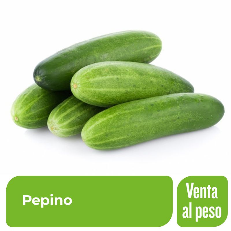 Pepino-x-1-Kg-_1