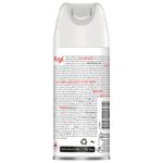 Repelente-Aerosol-Fuyi-170-Ml-_3