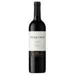 Vino-Malbec-Benjamin-Nieto-Senetiner-750-Ml_1