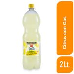 Agua-Saborizada-con-Gas-Dia-Citrus-2-Lts-_1