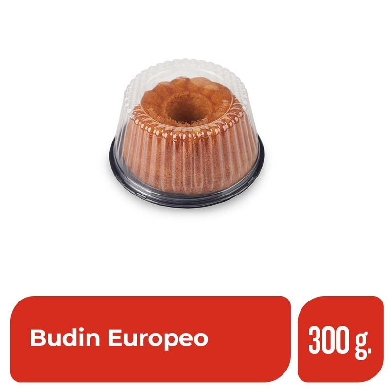 Budin-Europeo-Vainilla-300-Gr-_1