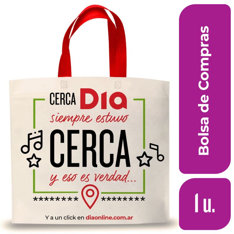 Bolsa-de-Compras-DIA-45-x-40-varios-modelos-1-Un-_1