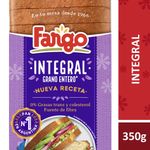 Pan-Integral-Grano-Entero-Fargo-350-Gr-_1