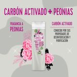 Acondicionador-SEDAL-Carbon-Activado-y-Peonias-340-Ml-_5