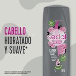 Acondicionador-SEDAL-Carbon-Activado-y-Peonias-340-Ml-_6