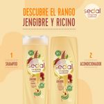 Acondicionador-SEDAL-Jengibre-Ricino-340-Ml-_4