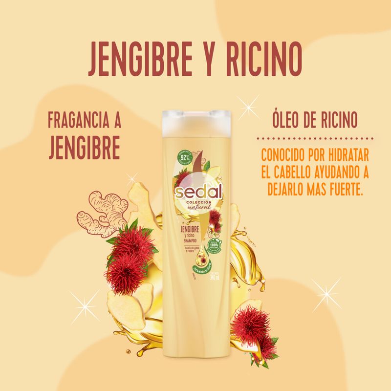 Acondicionador-SEDAL-Jengibre-Ricino-340-Ml-_5