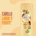 Acondicionador-SEDAL-Jengibre-Ricino-340-Ml-_6