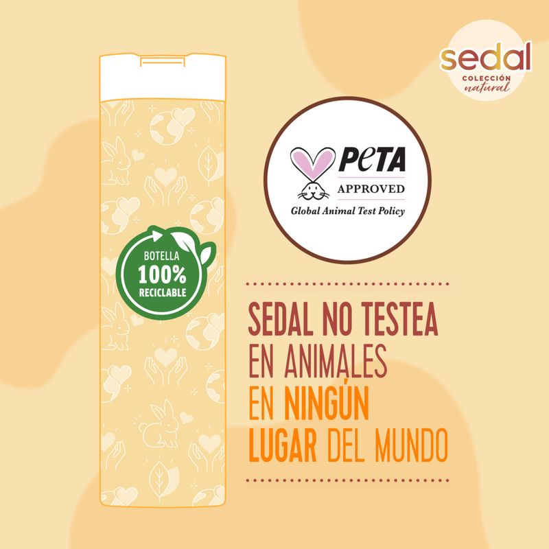 Acondicionador-SEDAL-Jengibre-Ricino-340-Ml-_7