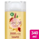 Shampoo-SEDAL-Jengibre-Ricino-340-Ml-_1