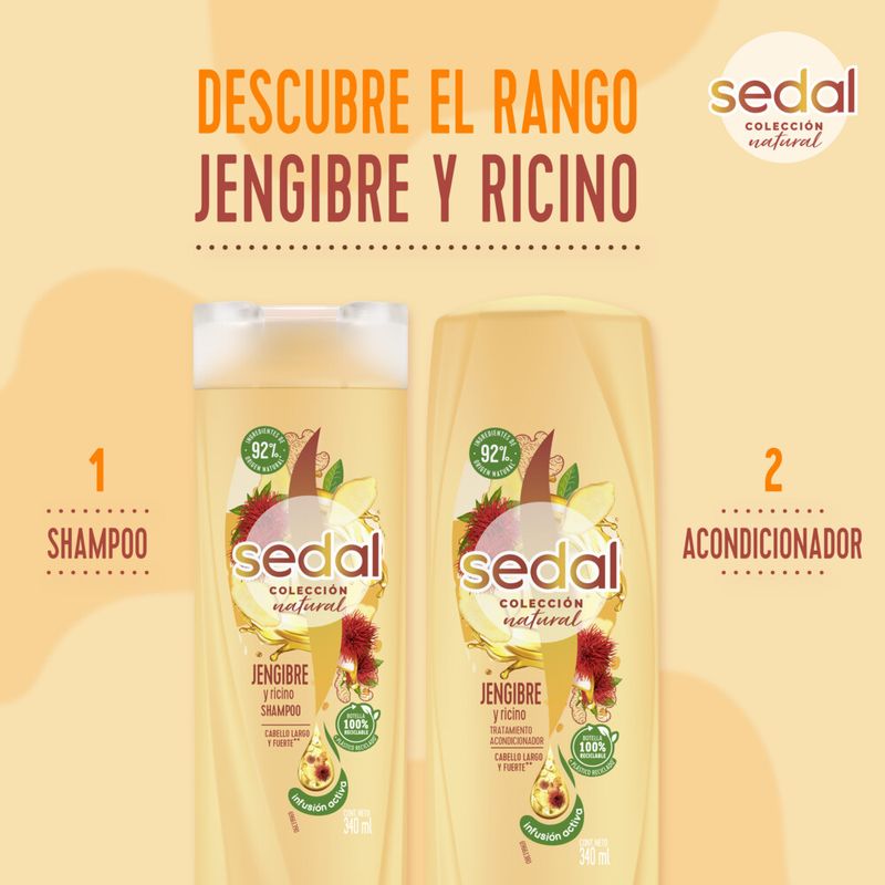 Shampoo-SEDAL-Jengibre-Ricino-340-Ml-_4