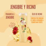 Shampoo-SEDAL-Jengibre-Ricino-340-Ml-_5