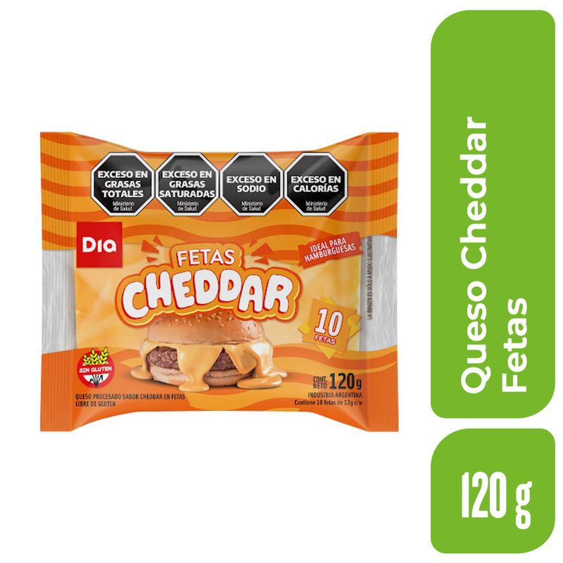 Queso-Cheddar-Fetas-Dia-120-Gr-_1