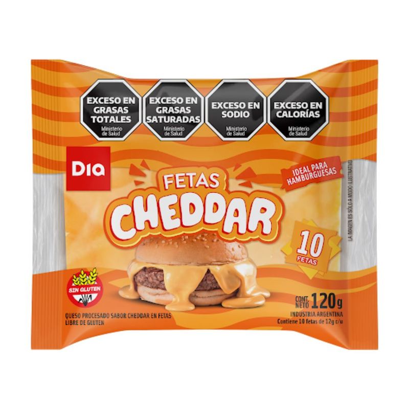 Queso-Cheddar-Fetas-Dia-120-Gr-_2