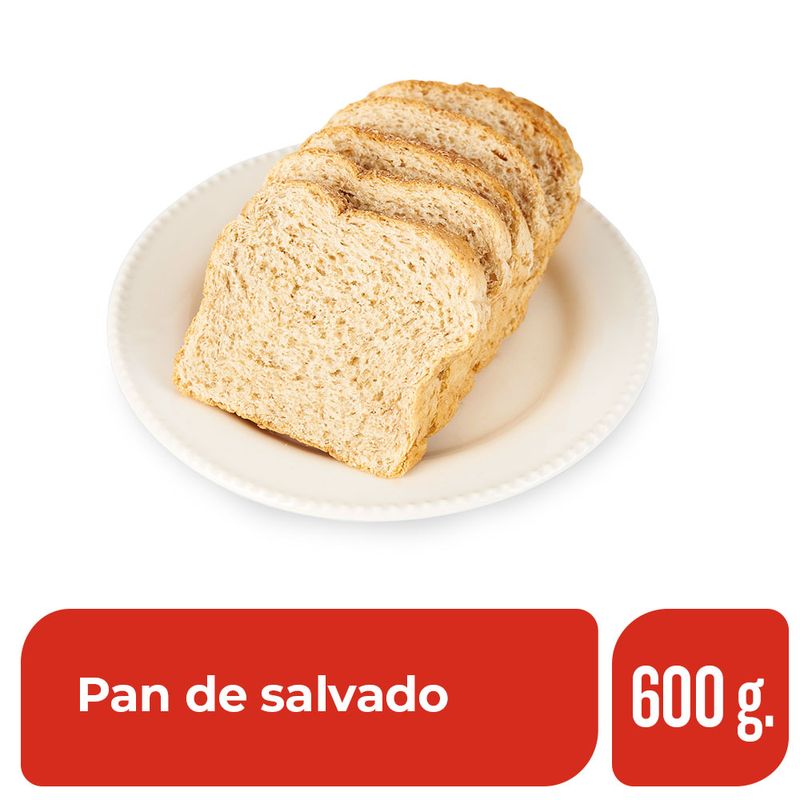 Pan-De-Salvado-Familiar-600-Gr_1