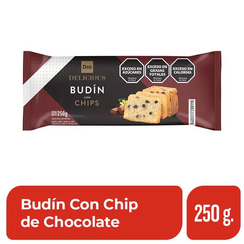 Budín Con Chips de Chóclate Dia 250 Gr.