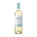 Vino-Blanco-Dulce-Natural-Benjamin-Nieto-750-Ml_1