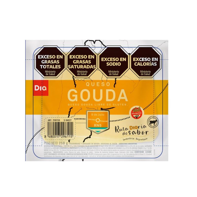 Queso-Gouda-Dia-250-Gr-_2