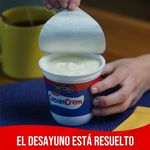 Queso-Crema-Clasico-Casancrem-290-Gr-_3