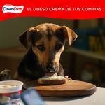 Queso-Crema-Clasico-Casancrem-290-Gr-_4