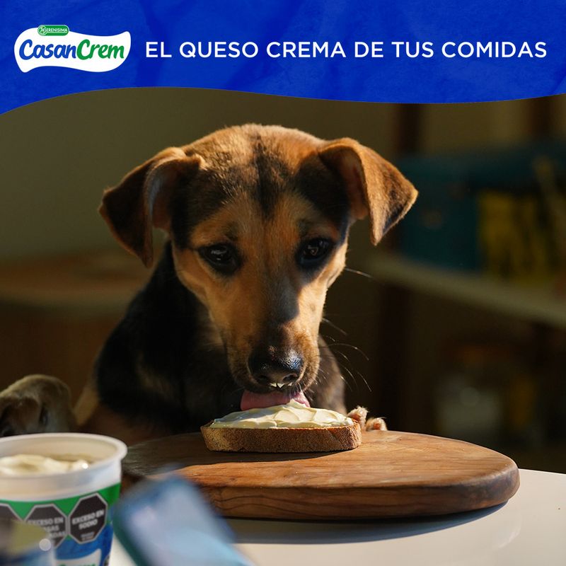 Queso-Blanco-Light-Casancrem-290-Gr-_4