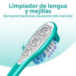 Cepillo-De-Dientes-Colgate-360-Base-2-Ud-_4