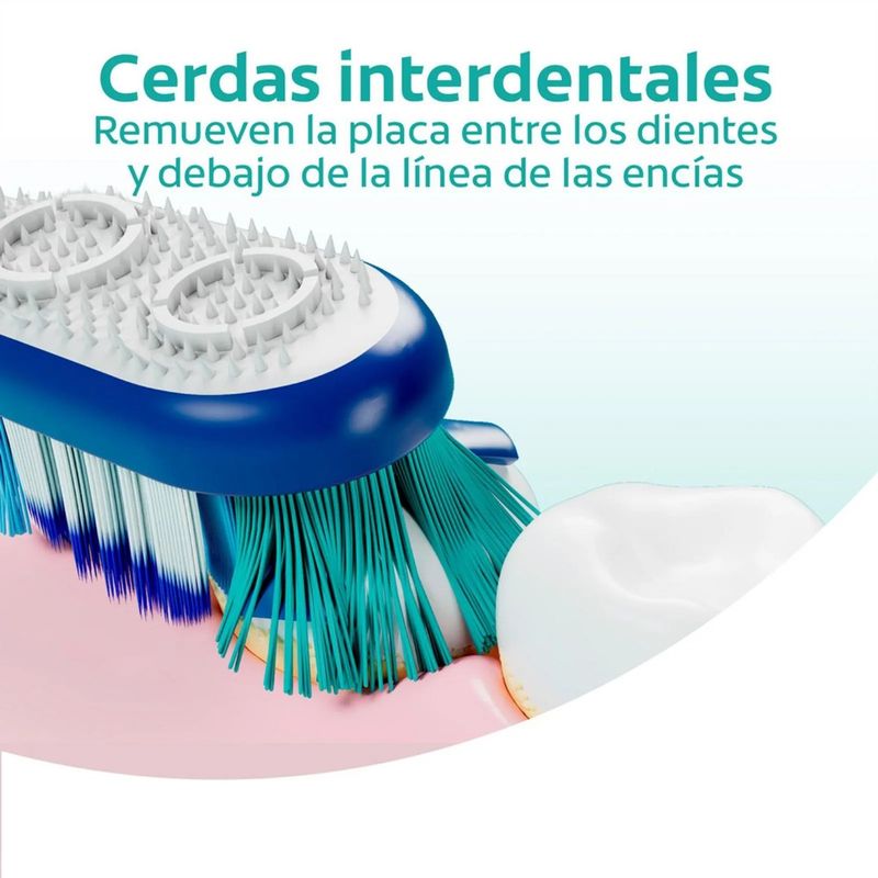 Cepillo-De-Dientes-Colgate-360-Base-2-Ud-_5