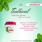 Crema-Antiarrugas-Teatrical-100-Ml-_3