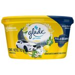 Aromatizante-para-Auto-Glade-Citrus-MiniGel-70-Gr-_2