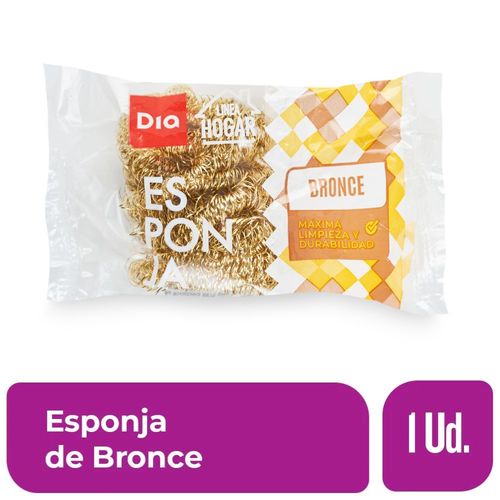 Esponja de Bronce Dia 1 Ud.