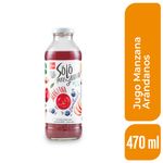 Jugo-Manzana-Arandanos-Dia-470-Ml-_1