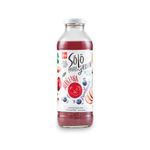 Jugo-Manzana-Arandanos-Dia-470-Ml-_2