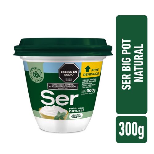 Yogur Natural Bigpot Ser 300 Gr.