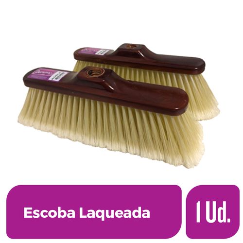 Escoba Laqueada Dia 1 Ud.