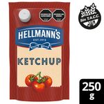 Ketchup-Hellmanns-Regular-Doypack-250-Gr-_1