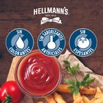 Ketchup-Hellmanns-Regular-Doypack-500-Gr-_4