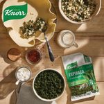 Vegetales-Deshidratados-Knorr-Espinaca-50-Gr-_7