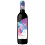 Vino-Tinto-Cosecha-Tardia-Norton-750-ml-_1