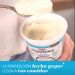 Yogur-Natural-sendulzar-Conicet-Yogurisimo-300-Gr-_3