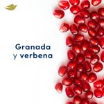 Antitranspirante-Dove-Fresh-Care-Granada-Y-Verbena-RollOn-50-Ml-_3